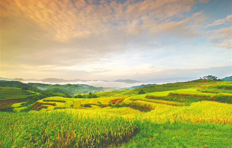 五指山市毛陽鎮(zhèn)牙胡梯田景觀