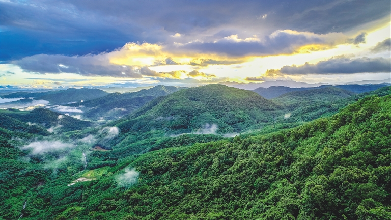 白沙加快建設(shè)“兩山”基地，推動生態(tài)文明建設(shè)邁上新臺階