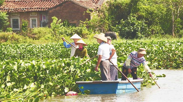 萬寧市集中整治太陽(yáng)河舊河道水浮蓮