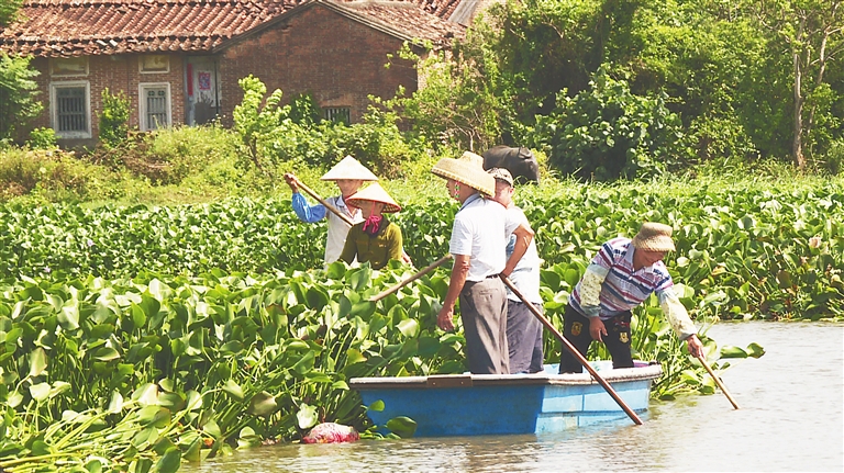 萬(wàn)寧市集中整治太陽(yáng)河舊河道水浮蓮