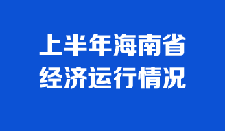 上半年海南經(jīng)濟運行情況