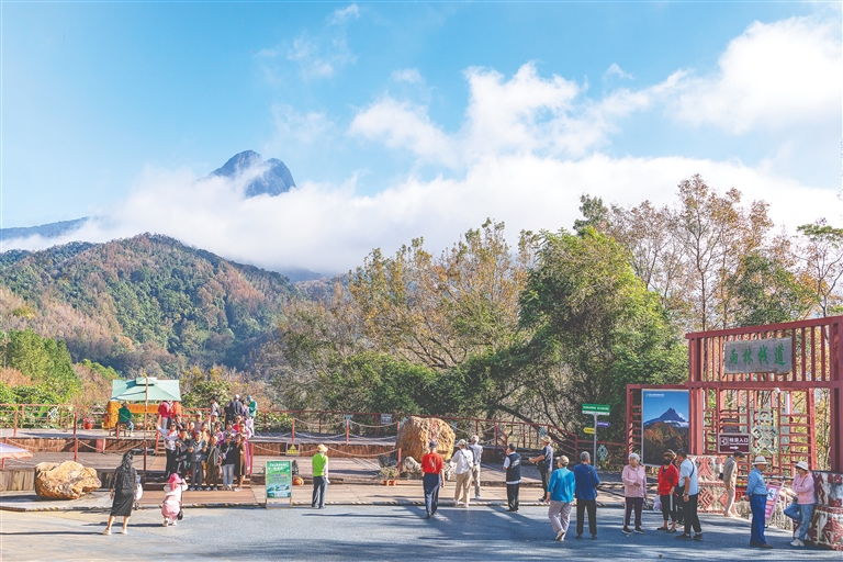 又見五指山楓葉美